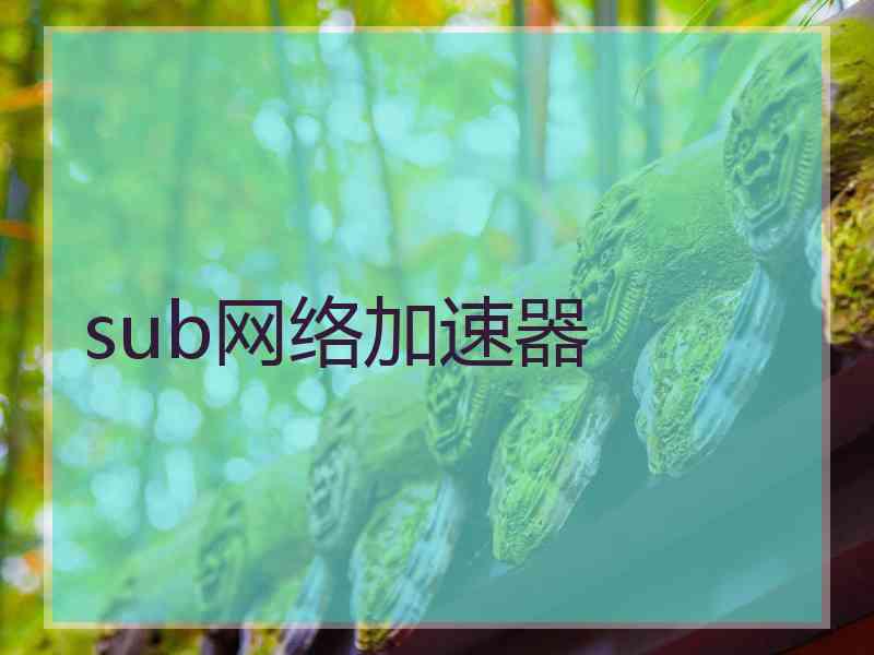 sub网络加速器