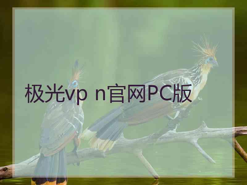 极光vp n官网PC版