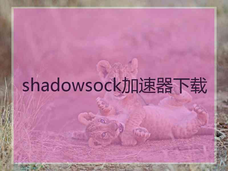 shadowsock加速器下载