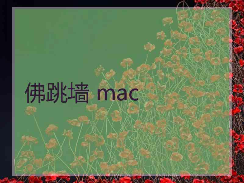 佛跳墙 mac