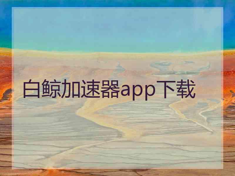 白鲸加速器app下载