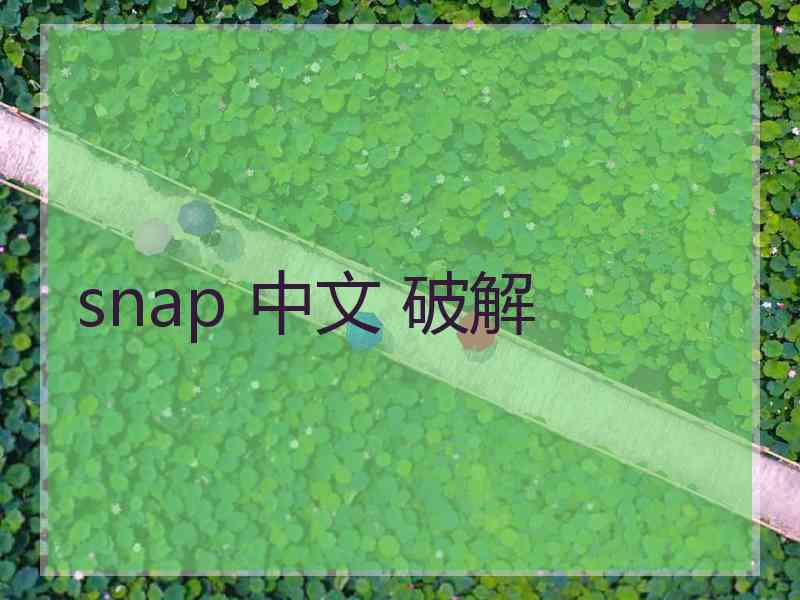 snap 中文 破解