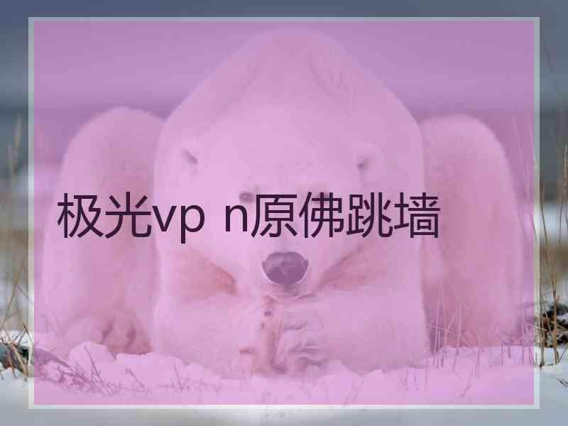 极光vp n原佛跳墙