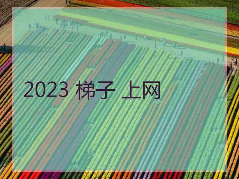 2023 梯子 上网