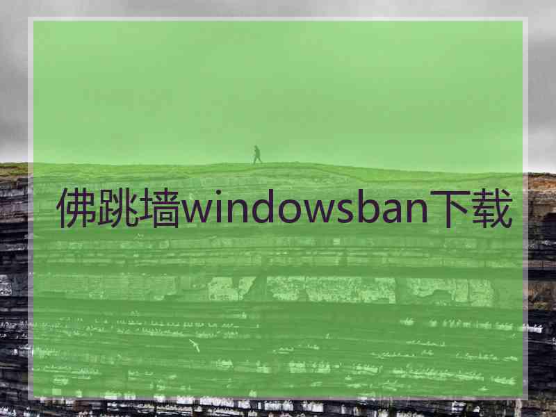 佛跳墙windowsban下载