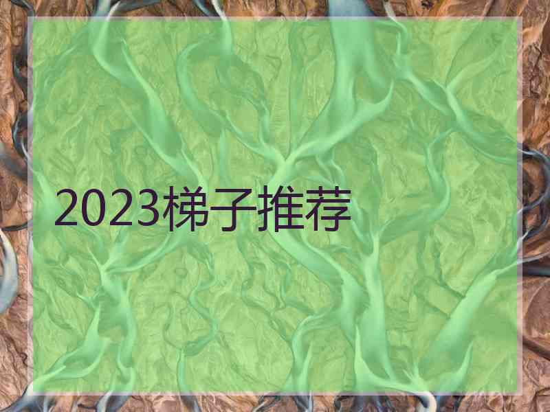 2023梯子推荐