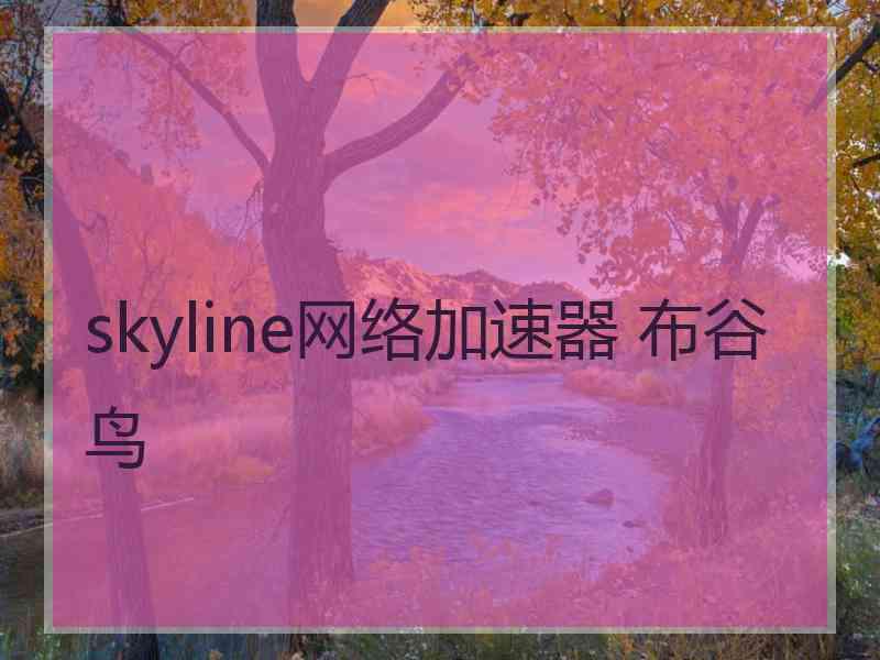 skyline网络加速器 布谷鸟