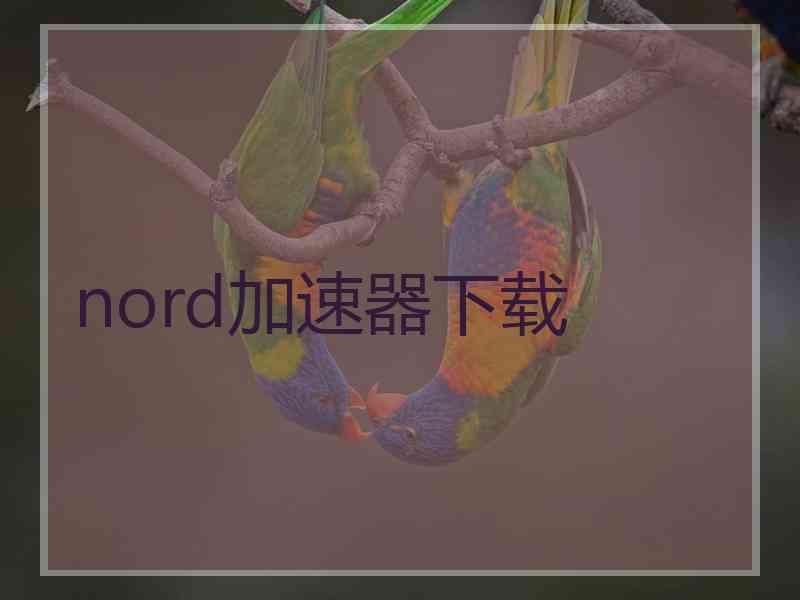 nord加速器下载