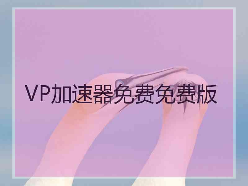 VP加速器免费免费版