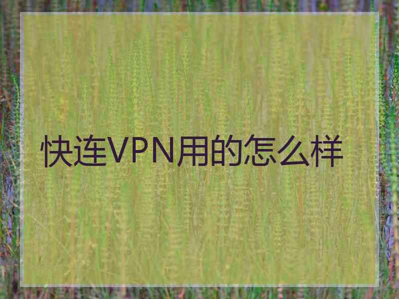 快连VPN用的怎么样