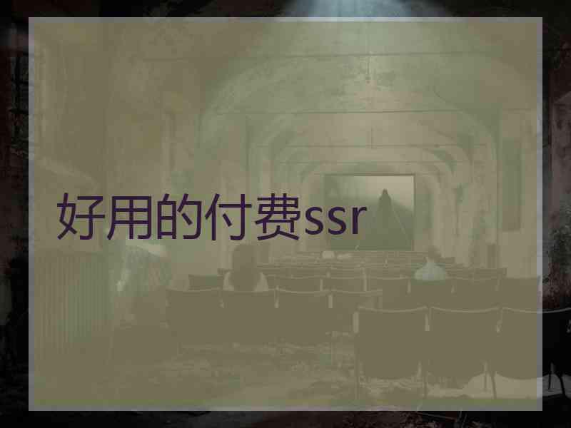 好用的付费ssr