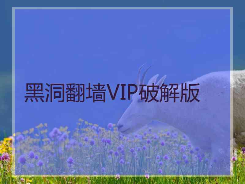 黑洞翻墙VIP破解版