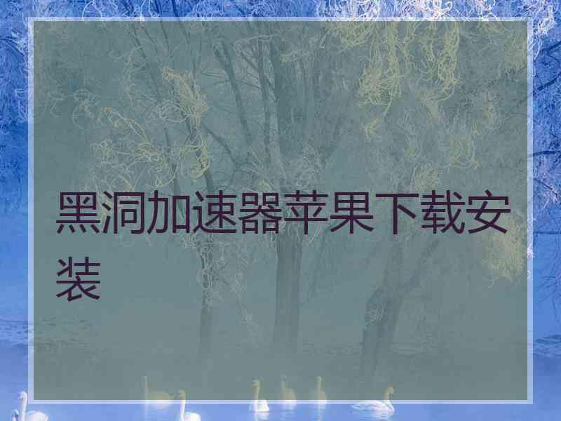 黑洞加速器苹果下载安装