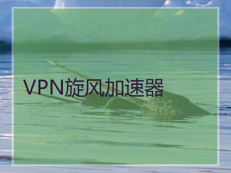 VPN旋风加速器