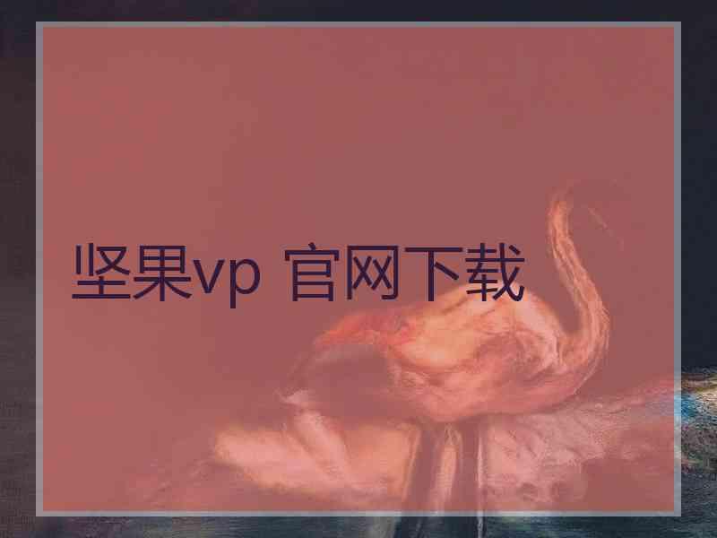 坚果vp 官网下载