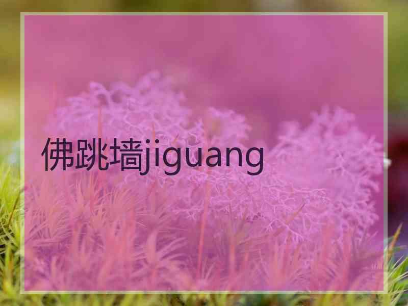 佛跳墙jiguang