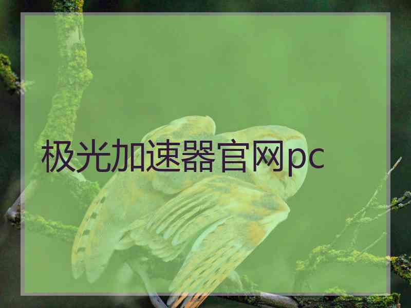 极光加速器官网pc