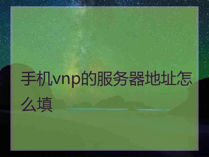 手机vnp的服务器地址怎么填