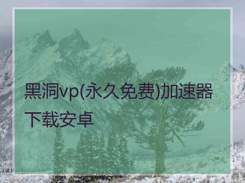 黑洞vp(永久免费)加速器下载安卓