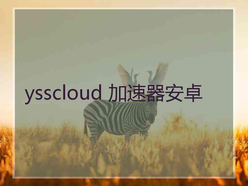 ysscloud 加速器安卓