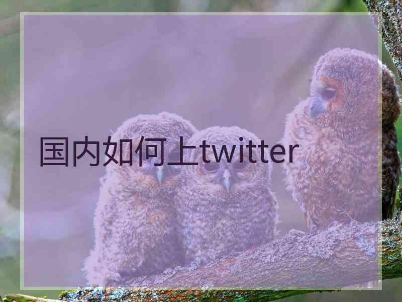 国内如何上twitter