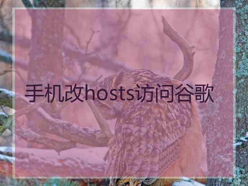 手机改hosts访问谷歌