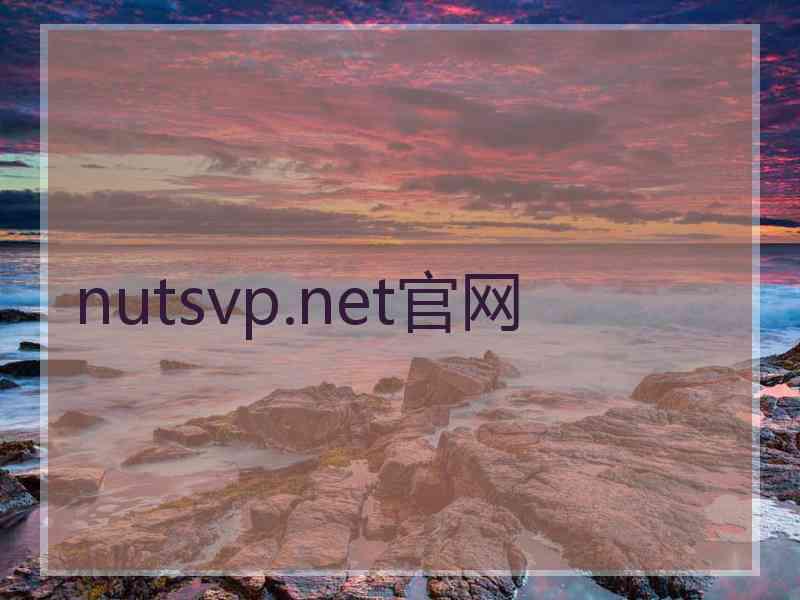 nutsvp.net官网