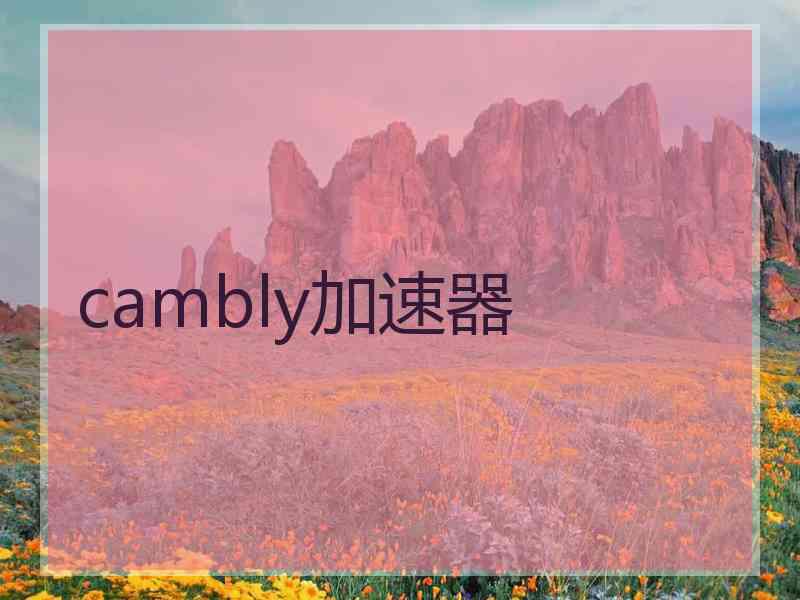 cambly加速器