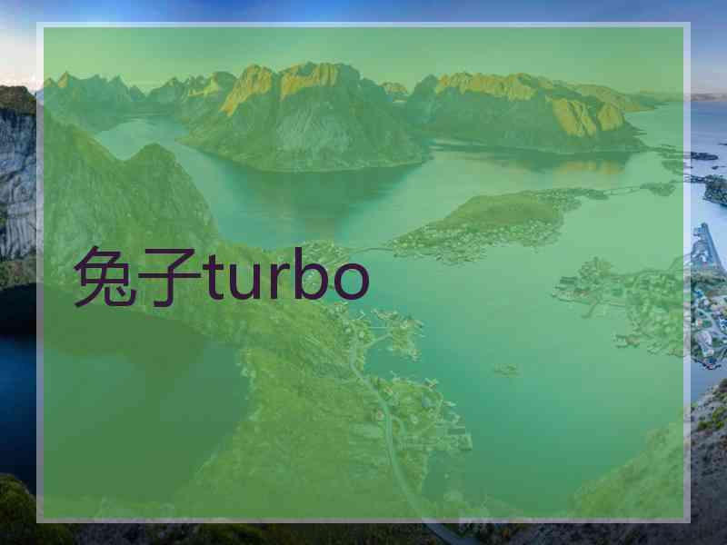 兔子turbo