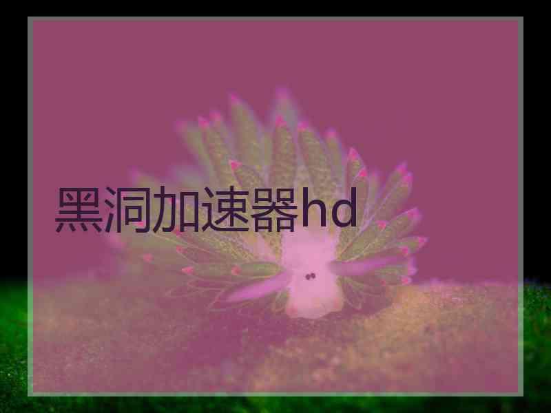 黑洞加速器hd