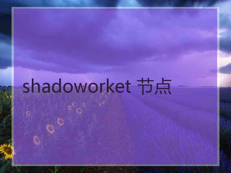 shadoworket 节点