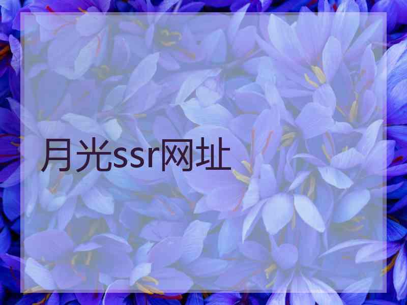 月光ssr网址