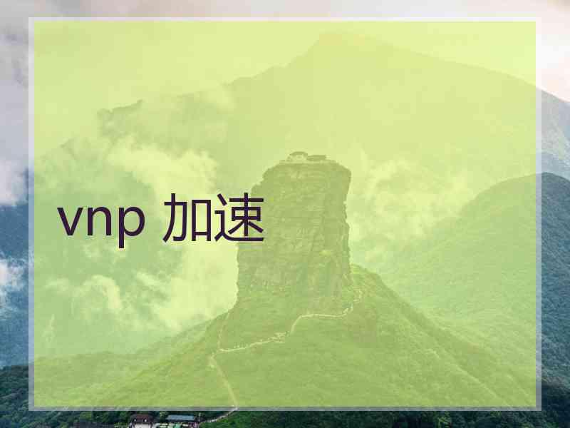 vnp 加速