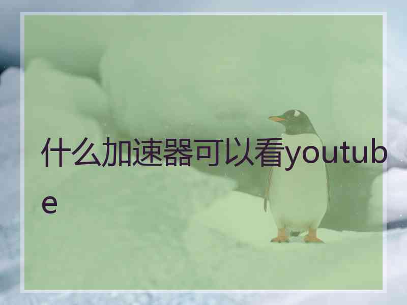 什么加速器可以看youtube