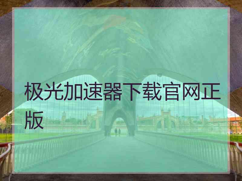 极光加速器下载官网正版