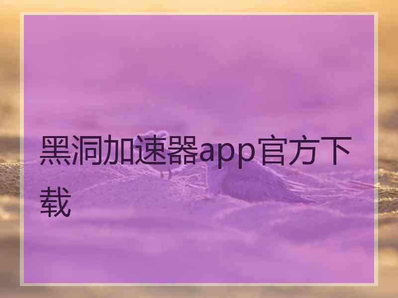 黑洞加速器app官方下载