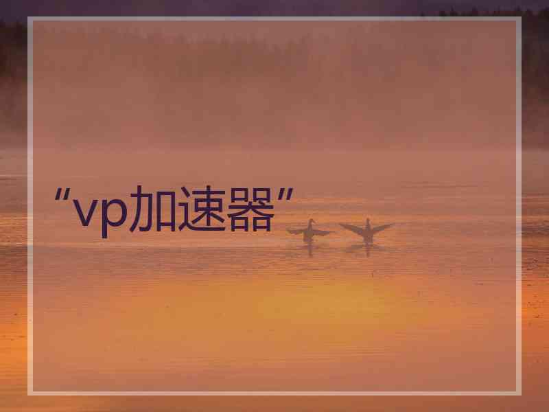 “vp加速器”