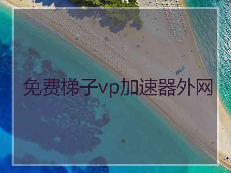 免费梯子vp加速器外网