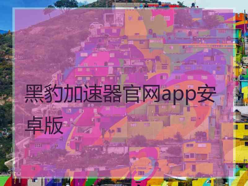 黑豹加速器官网app安卓版