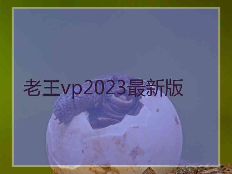 老王vp2023最新版