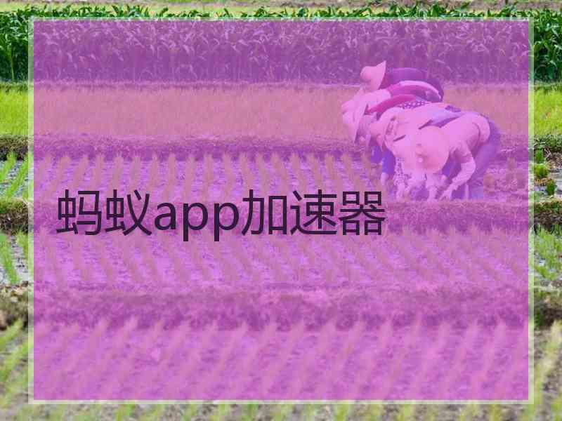 蚂蚁app加速器