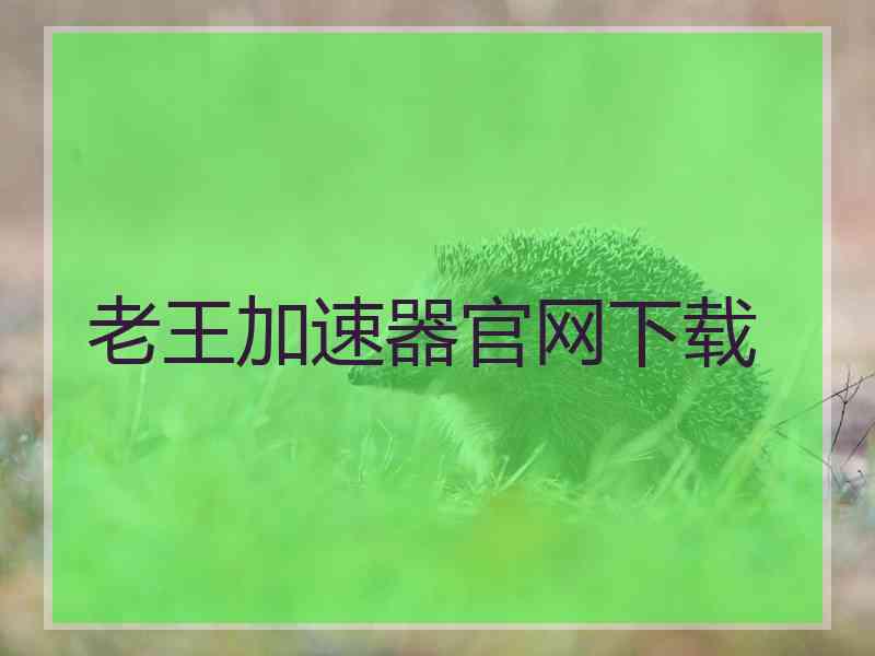 老王加速器官网下载