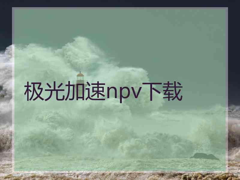 极光加速npv下载