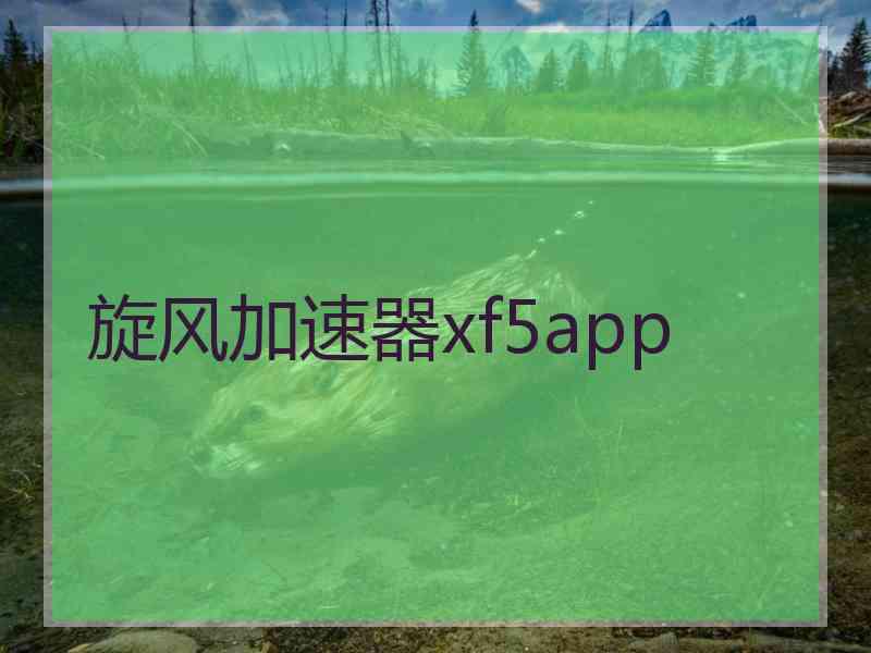 旋风加速器xf5app