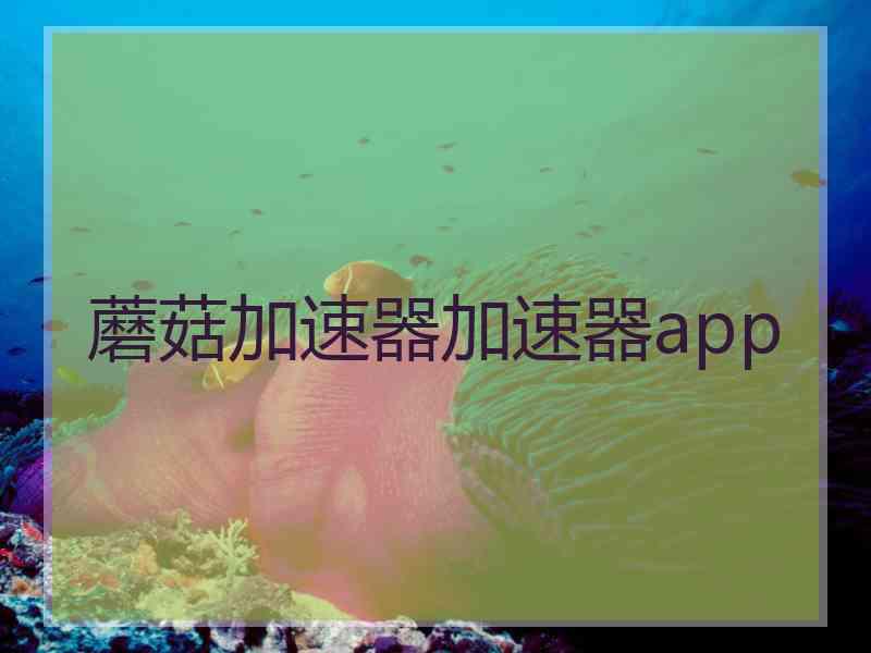 蘑菇加速器加速器app