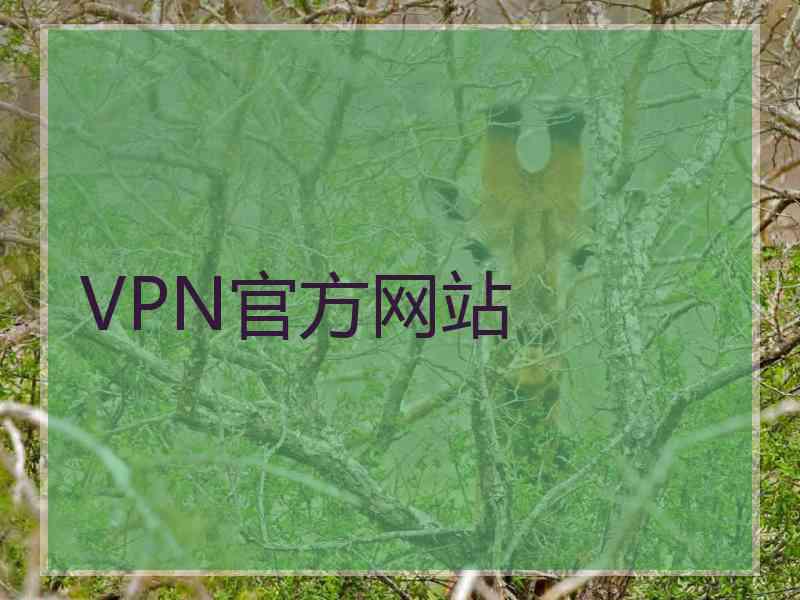 VPN官方网站