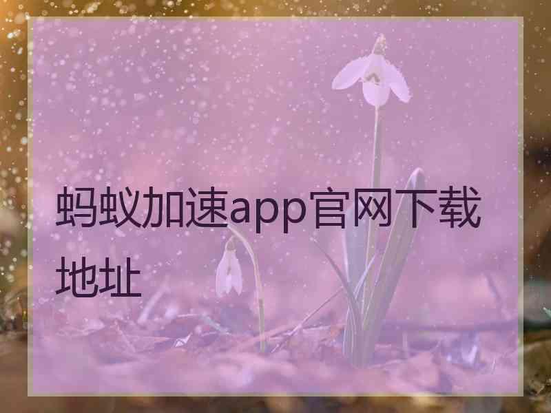 蚂蚁加速app官网下载地址