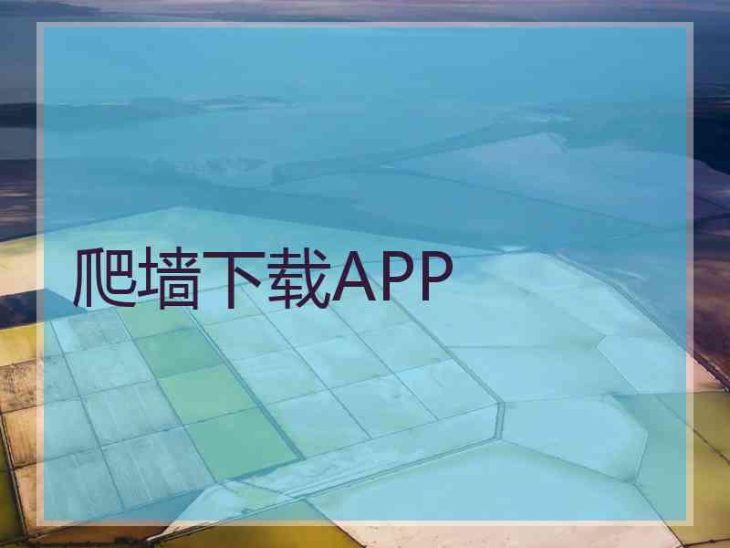 爬墙下载APP