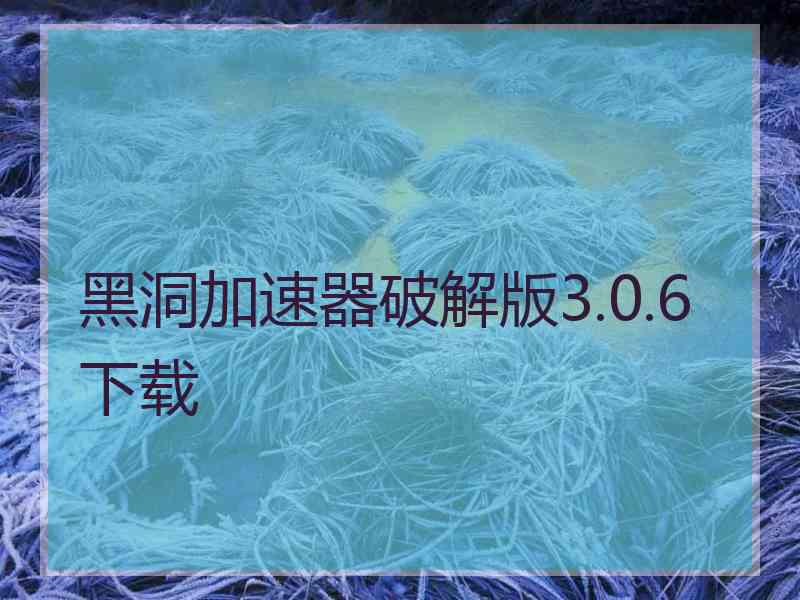 黑洞加速器破解版3.0.6下载