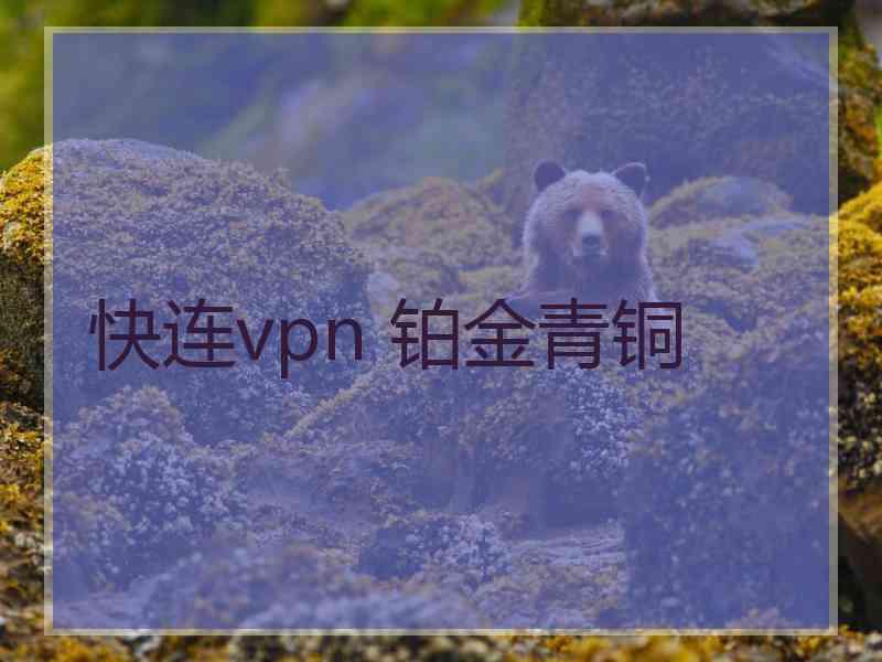 快连vpn 铂金青铜